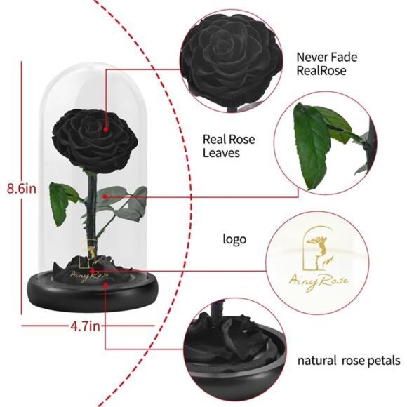 SW Forever Preserved Real Black Rose Flower Birthday Gifts for Mom - Picture 6 of 7